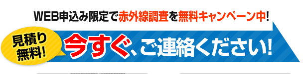 今すぐご連絡ください！